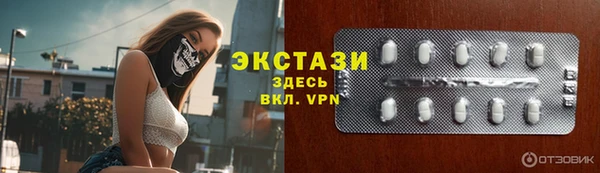 мдпв Богородицк