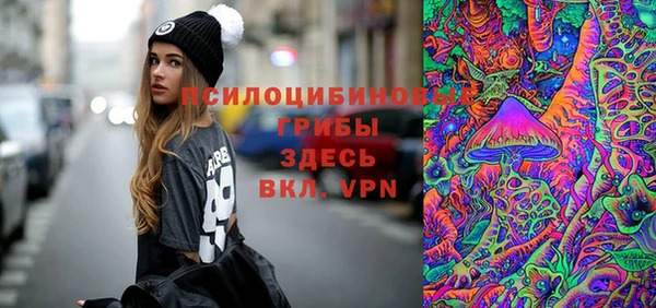спиды Богданович