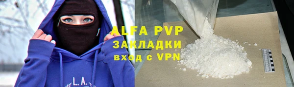 спиды Богданович