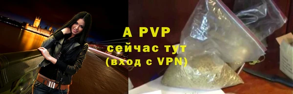 спиды Богданович