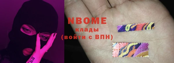мдпв Богородицк