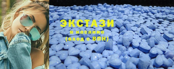 мдпв Богородицк