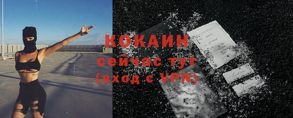 спиды Богданович