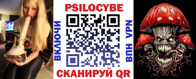 Псилоцибиновые грибы Psilocybine cubensis  Валуйки 